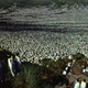Over 2 million king penguins lived on Ile aux Cochons when this photo was taken in 1982.